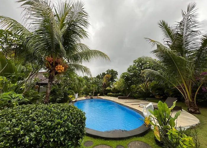 Guest house Adi's 3*