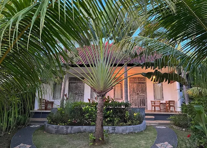 Guest house Adi's